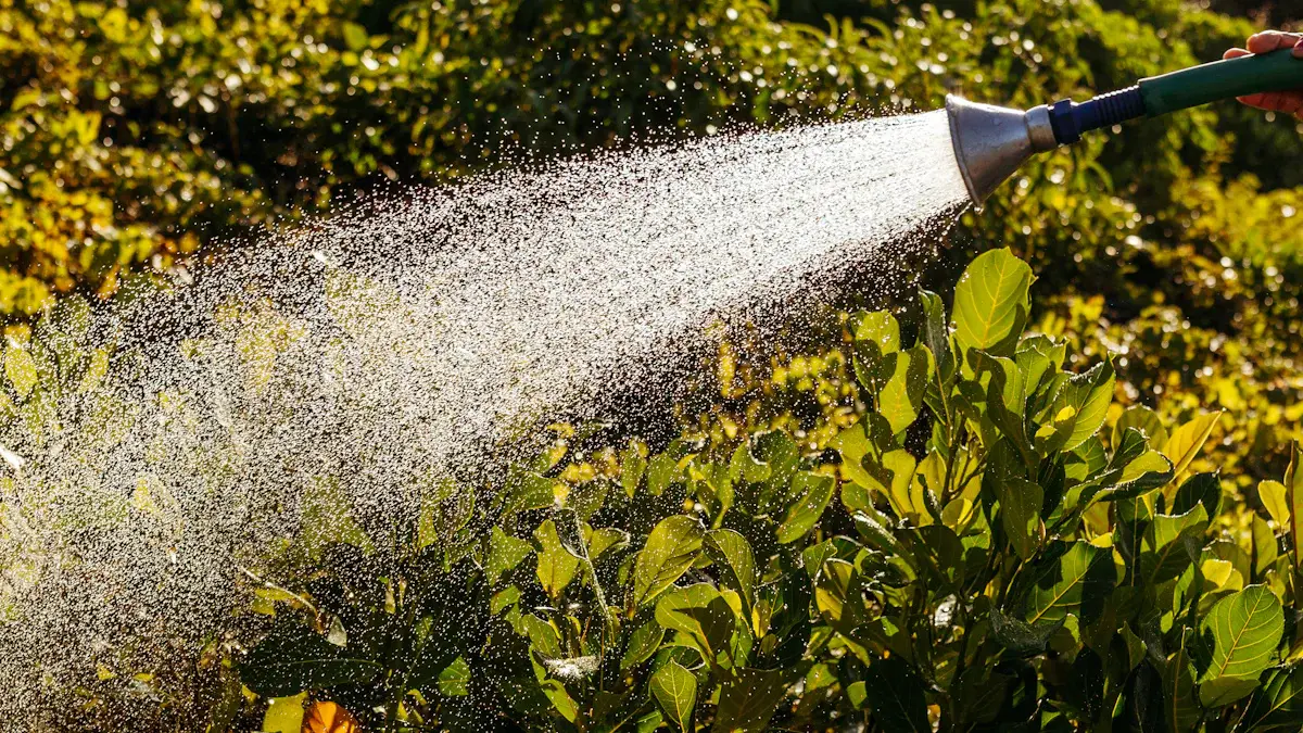 Spray Gun (1).jpg