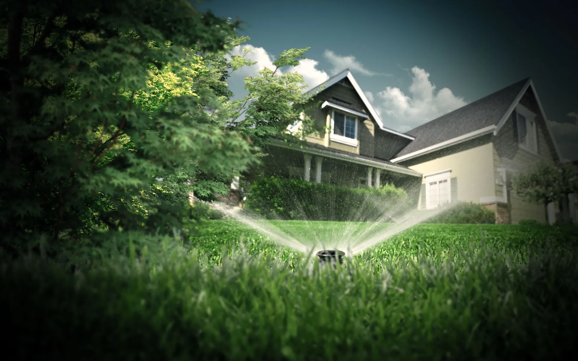 sprinkler_yard_sprinkler.webp